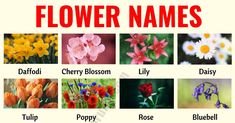 the names of different flowers are shown in this poster, which includes pictures of them