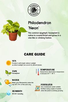 an info sheet describing the different types of plants