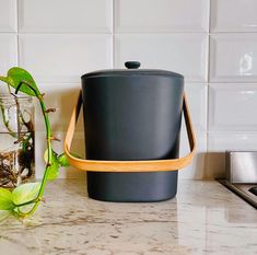 a potted plant sitting on top of a kitchen counter next to a water container