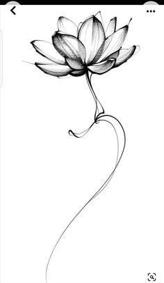 a black and white drawing of a flower