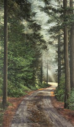 an oil painting of a dirt road in the woods with trees and sunbeams