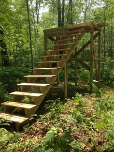 a wooden set of stairs leading up to a tree house in the woods with a man standing next to it