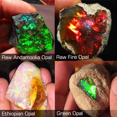 Jelly Opal, Types Of Opals, Yellow Opal, Pretty Rocks, Cool Rocks, Beautiful Rocks, Green Opal, Minerals And Gemstones, Rocks And Gems