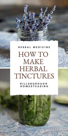 Herb Tinctures, Health Herbs, Tinctures Recipes, Magia Das Ervas, Herbal Tinctures, Herbal Recipes, Herbal Apothecary, Natural Healing Remedies, Taking Care Of Yourself