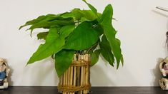 a plant in a bamboo basket on a table next to other small figurines