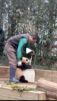 a man standing on top of a wooden platform next to a panda bear