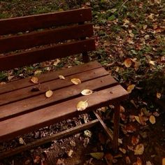 a wooden bench sitting in the middle of leaves