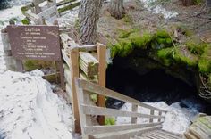 there is a wooden bridge that leads to a small cave in the woods with moss growing on it