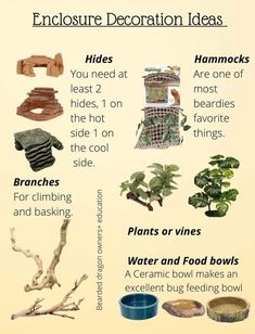 an info sheet describing the different types of plants and how they are used to grow them