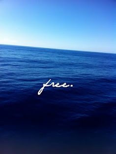 the word free written in white ink on blue water