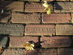 the brick wall has writing on it and leaves are growing out of it's cracks