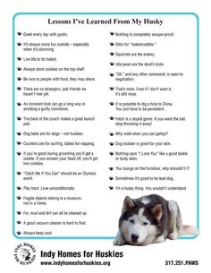 a poster with the words lessons i've learned from my husky