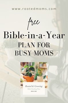 a woman sitting on a bench with the text free bible - in - a - year plan for busy moms