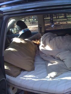 a dog sleeping in the back of a truck with pillows and blankets on it's bed