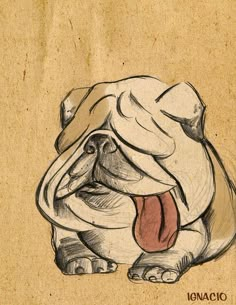 a drawing of a dog with its tongue hanging out and it's mouth open