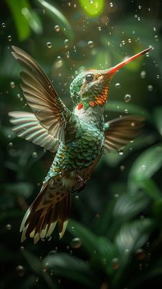 a hummingbird is flying in the air with its wings spread out and it's beak