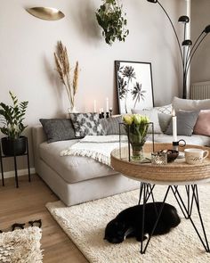 a living room filled with lots of furniture and plants on top of a rug next to a coffee table