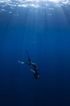 a manta ray swims in the ocean with sunlight shining down on it's surface