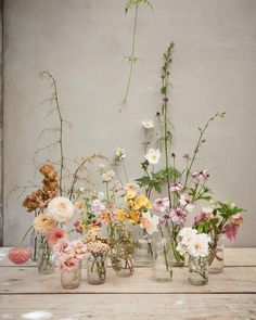 several vases filled with different types of flowers