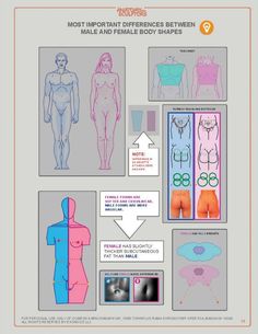 an info sheet showing the different types of female body shapes and how to use them