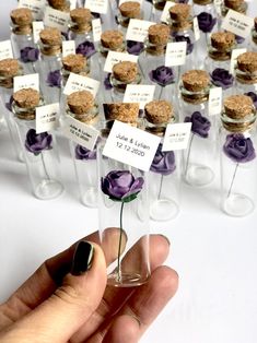 a hand holding a tiny glass vase with purple flowers in it and labels on them