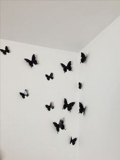 there are many black butterflies on the wall