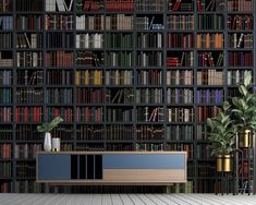 a bookshelf filled with lots of books next to a plant and vases