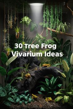 an aquarium with plants hanging from it's sides and the words 30 tree frog viarium ideas