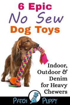 a dog holding a toy in its mouth with the title 6 epic no sew dog toys