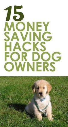 a dog sitting in the grass with text that reads 15 money saving hacks for dogs owners