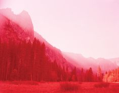 the mountains are covered with trees and grass