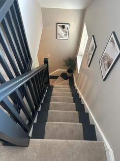 the stairs are lined with black and white carpet, along with pictures on the wall