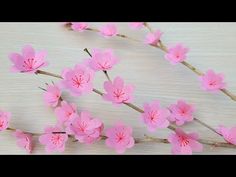 some pink flowers are on a white table and one is in the middle of it