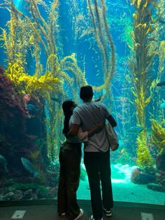 two people standing in front of an aquarium looking at the fish and seaweeds