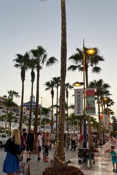 the palm trees are lined up on the sidewalk in front of shops and people walking down the street