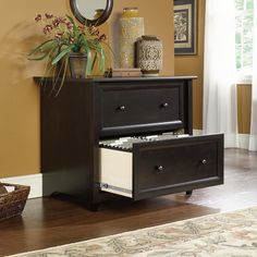 a black and white filing cabinet with two drawers in front of a plant on the floor