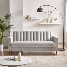 a living room with a couch, coffee table and potted plant