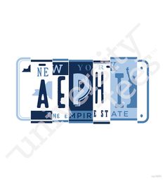 new york license plate with the empire state on it's front and back sides