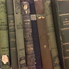 old books are lined up on a shelf