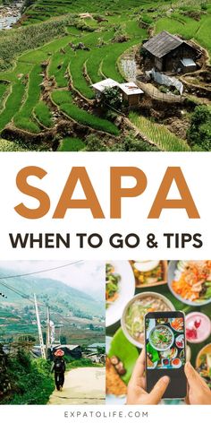 best time to visit sapa vietnam Sapa Vietnam, Vietnam Voyage, How To Book, Travel Destinations Asia, Asia Travel Guide, Halong Bay, Southeast Asia Travel