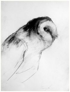 a black and white drawing of a bird