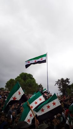 many people are holding flags and waving in the wind