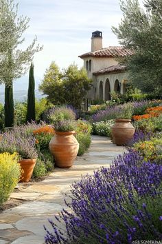 an outdoor garden with large pots and flowers on the path leading up to a house