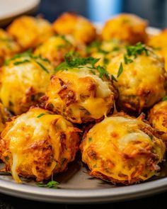 a plate full of cheesy potatoes with parsley on top