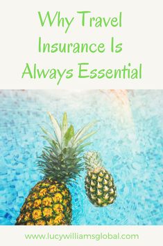 two pineapples in the water with text overlay saying why travel insurance is always essential