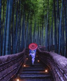 a woman with an umbrella is walking down the stairs in a bamboo forest at night