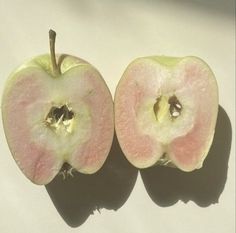 an apple cut in half sitting on top of a table