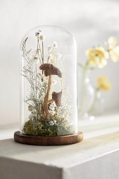 a glass dome with mushrooms and flowers inside