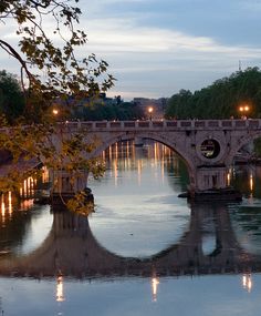 a bridge that is over some water with lights in the background and trees on both sides