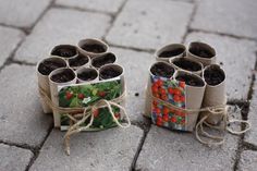 several small pots with plants in them tied to twine on the ground next to each other